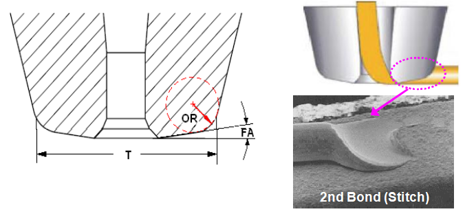 Capillary Introduction