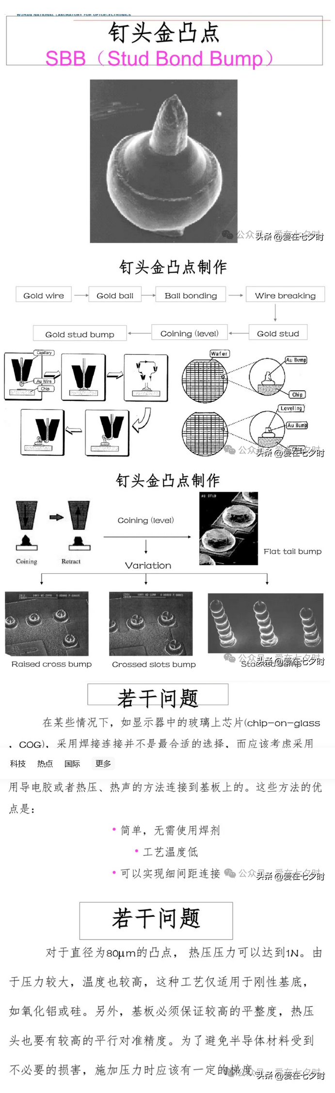 1724379731832270.jpg 1724379671484.jpg